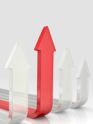 我们积极 奋发 向上